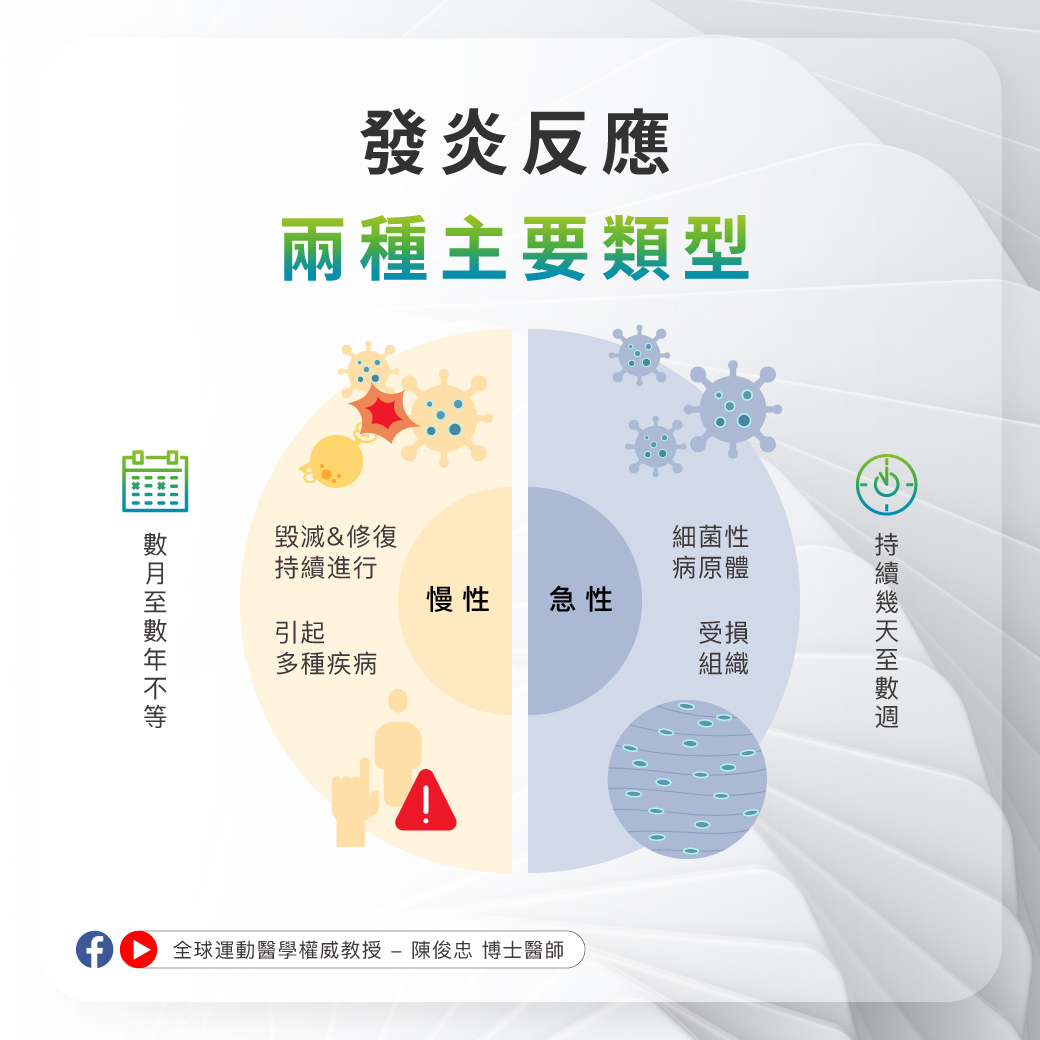 -抗發炎篇-2 -抗發炎篇-2
