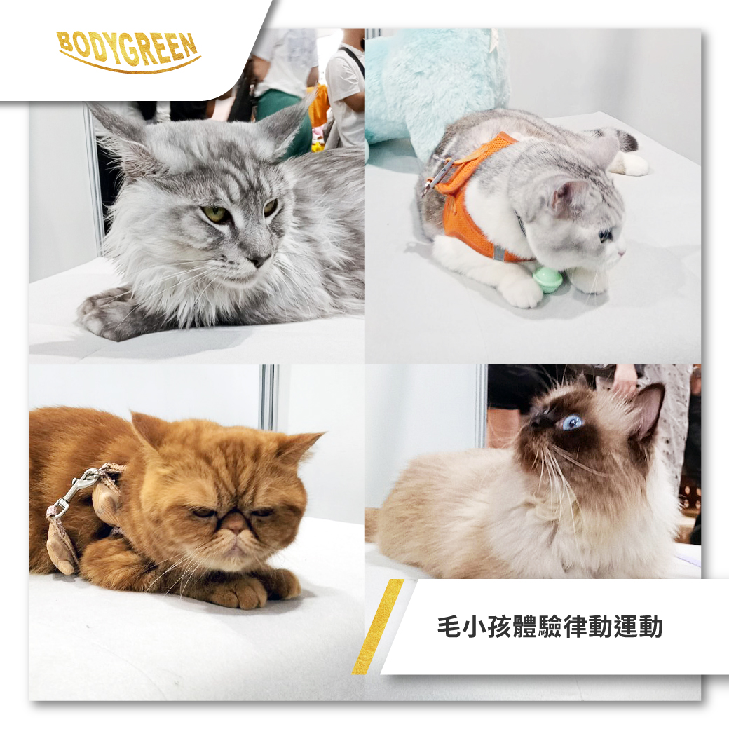 _FB貼文_6 _FB貼文_6