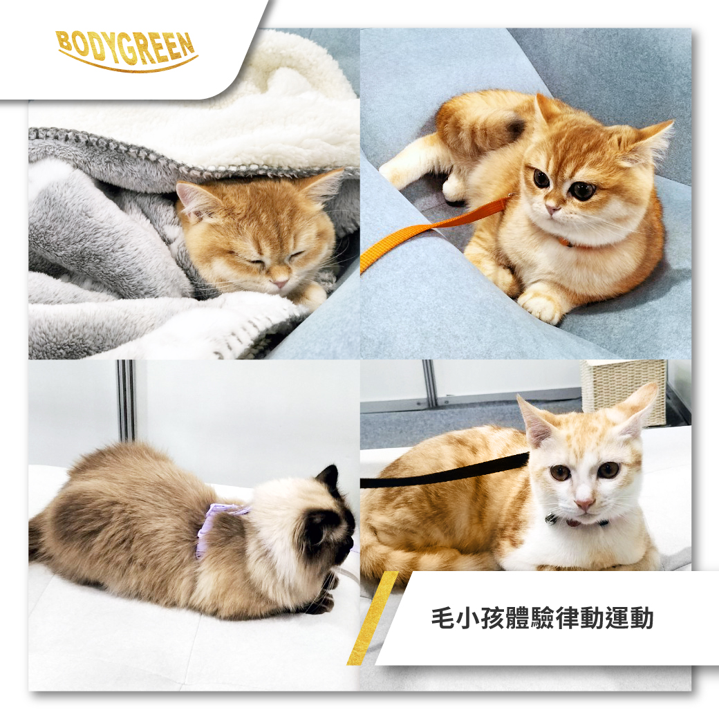 _FB貼文_7 _FB貼文_7